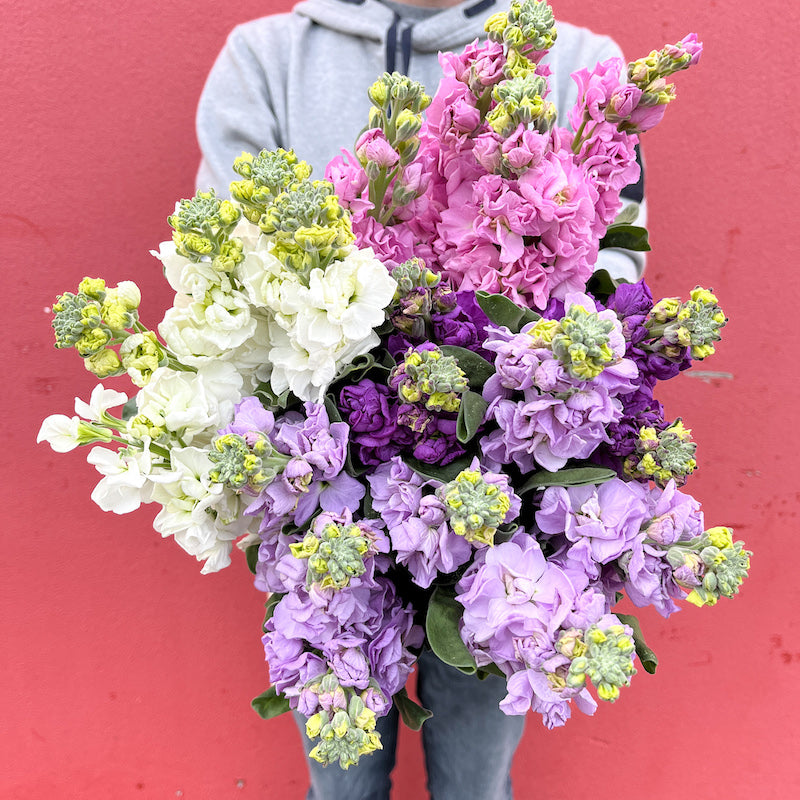 Stock Flower Bouquet