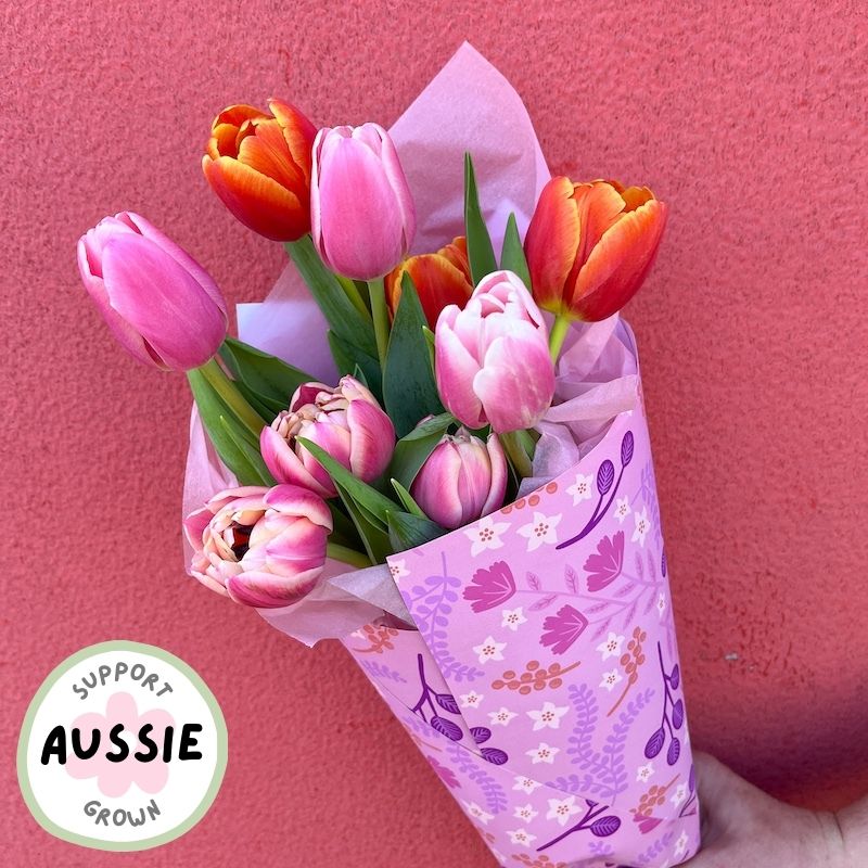 Colourful fresh tulip flowers bunch wrap gift