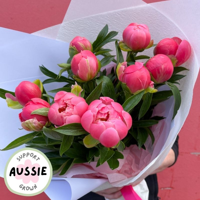 Fresh melbourne flower market peony bunch