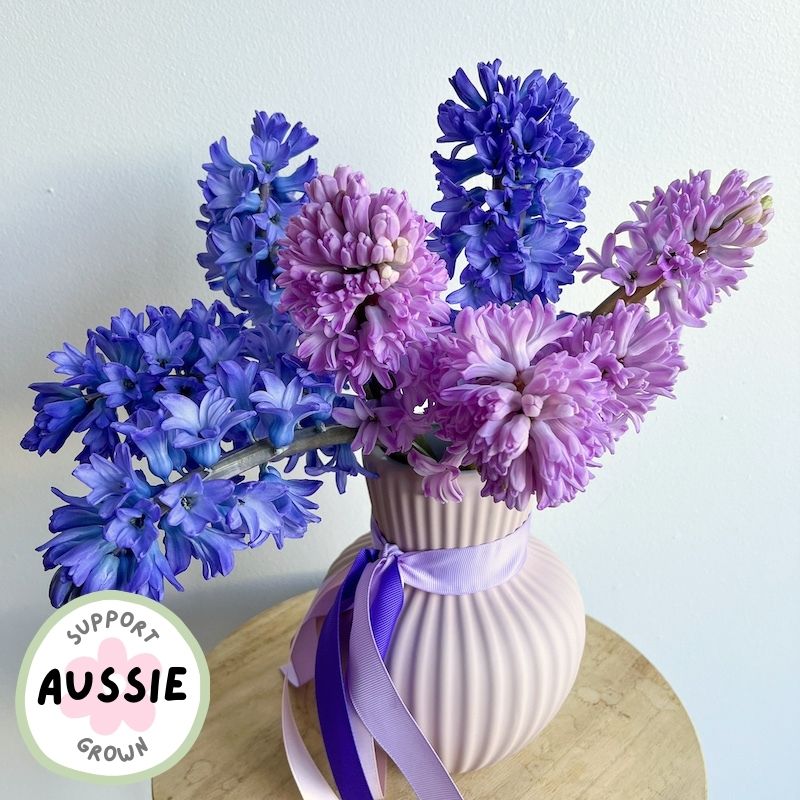 seasonal local grown flowers in a vase - Hyacinths