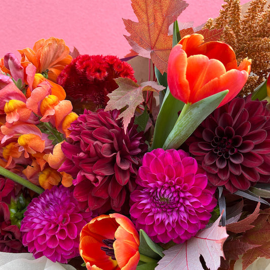 autumn flowers in melbourne